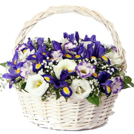 Эффектная Эффектная